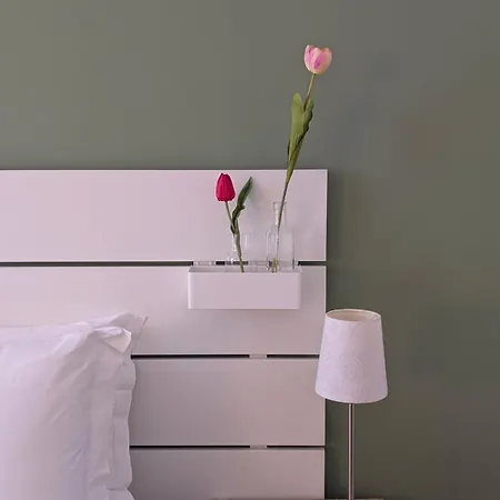 Domus Tulipa - A Due Passi Da Via Veneto 罗马