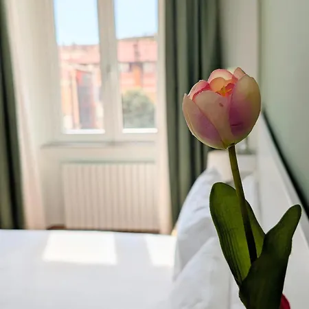 Domus Tulipa - A Due Passi Da Via Veneto * 罗马